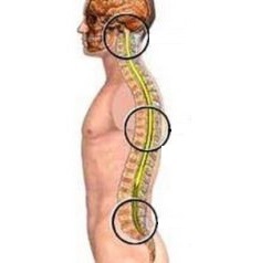 същността на остеохондрозата на лумбалния гръбнак
